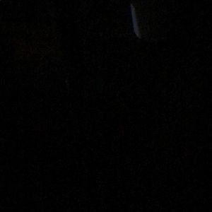 Meet your Posher, Gloria